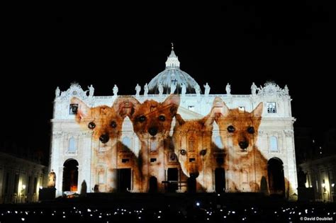 what is the national animal of vatican city|Vatican City .